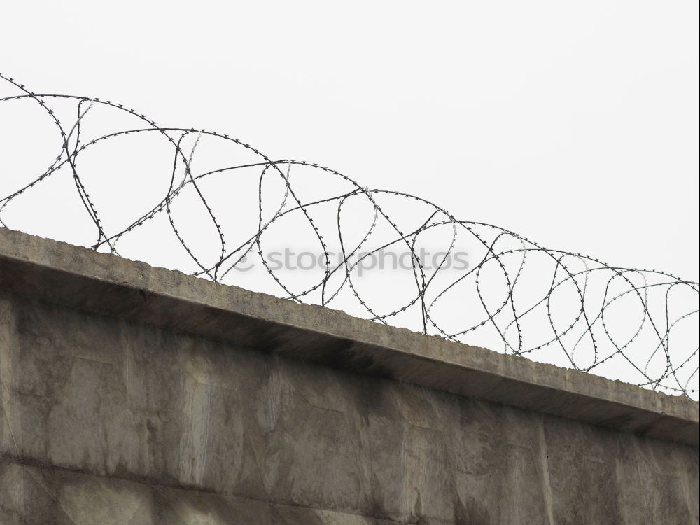 Similar – Razor Wire Fence Steel