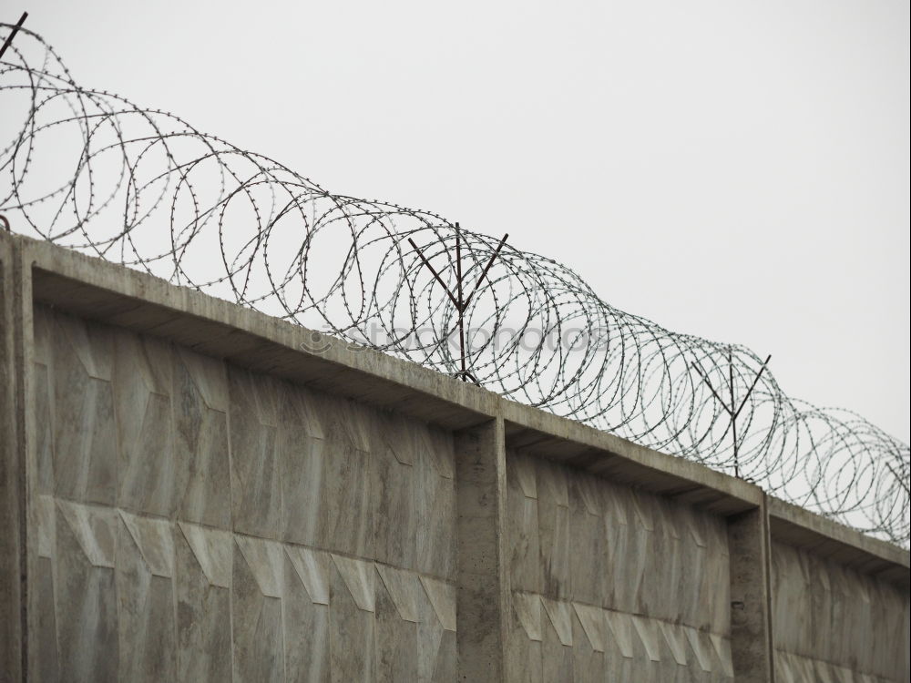 Similar – Fencing of sensitive sites with barbed wire. Barbed wire. Restriction of freedom. Prison fence. Forbidden territory. The concept of security. The concept of the ban.