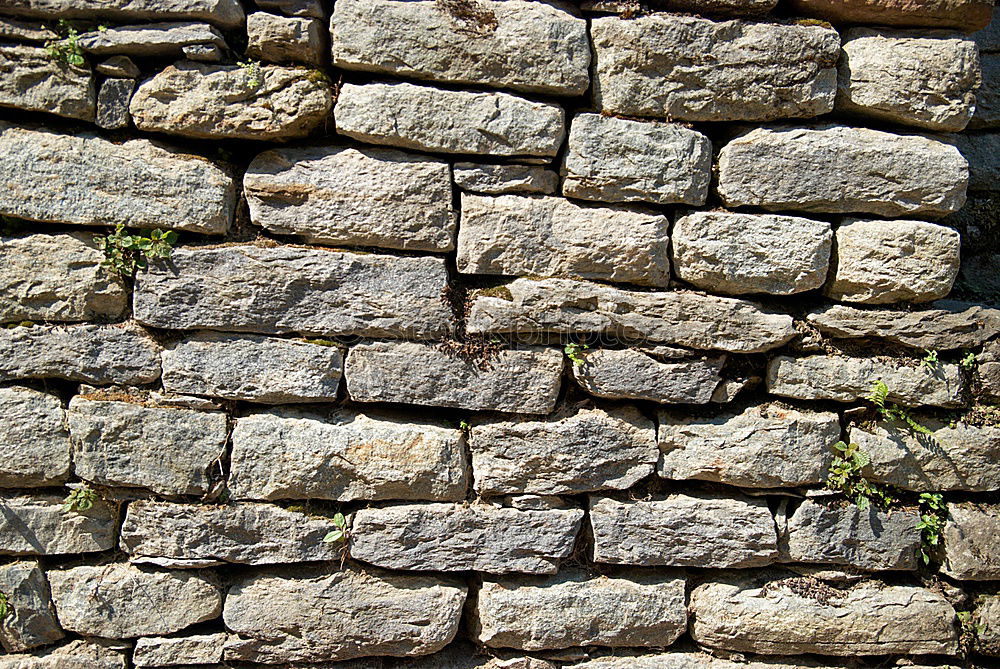 Similar – Image, Stock Photo StoneWall Wall (building)