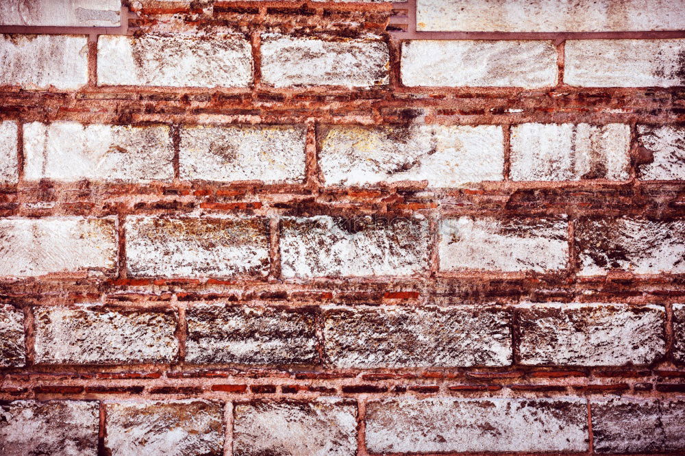 Image, Stock Photo Brick 3