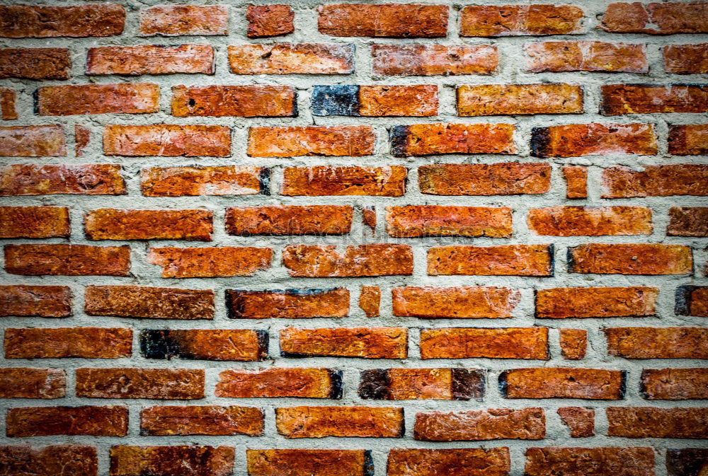 Foto Bild Vorsichtiger Durchbruch