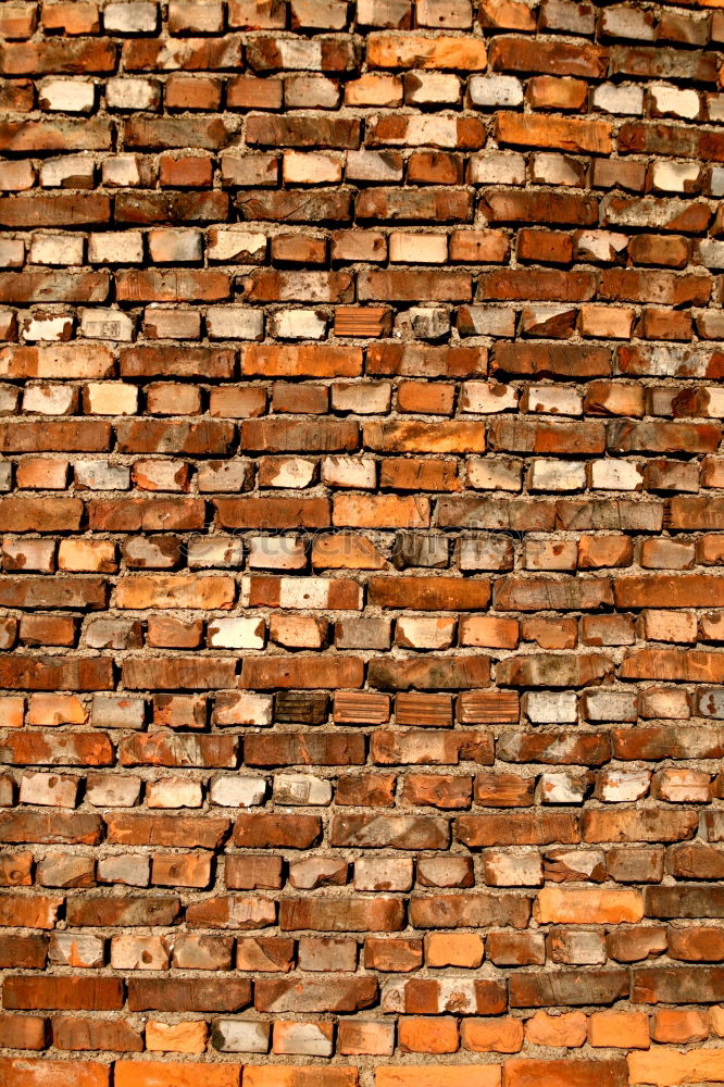 Similar – Image, Stock Photo Woodstock Firewood