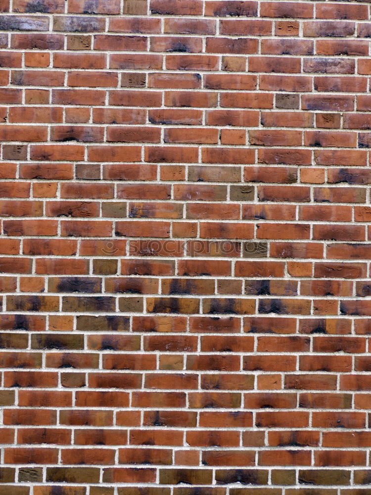 Similar – Wall, Window Sky Tourism