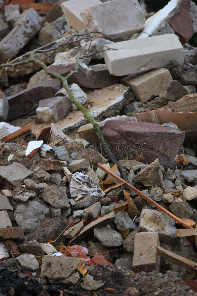 Similar – Image, Stock Photo New Year Trash Explode