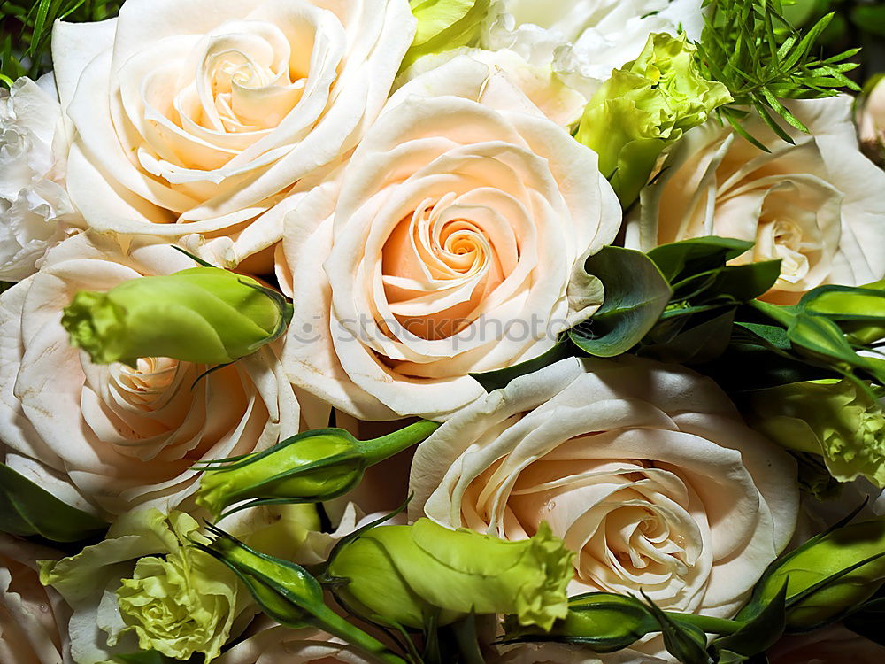 Similar – Image, Stock Photo valentine delay