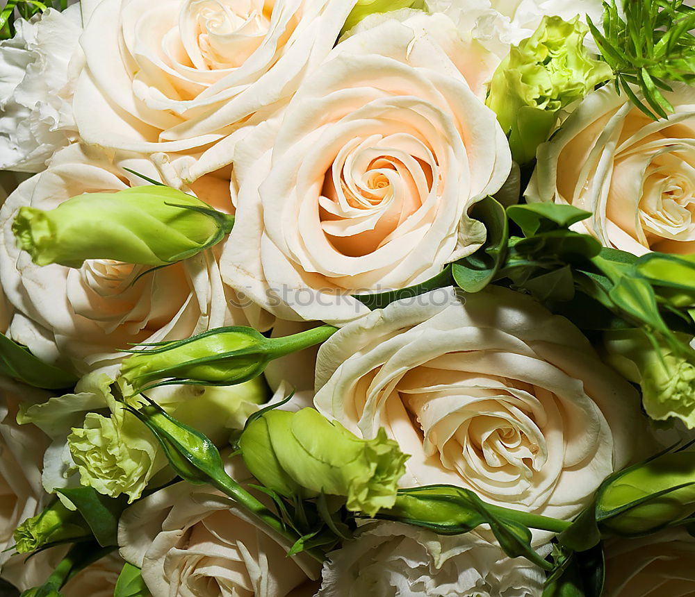 Similar – Image, Stock Photo valentine delay