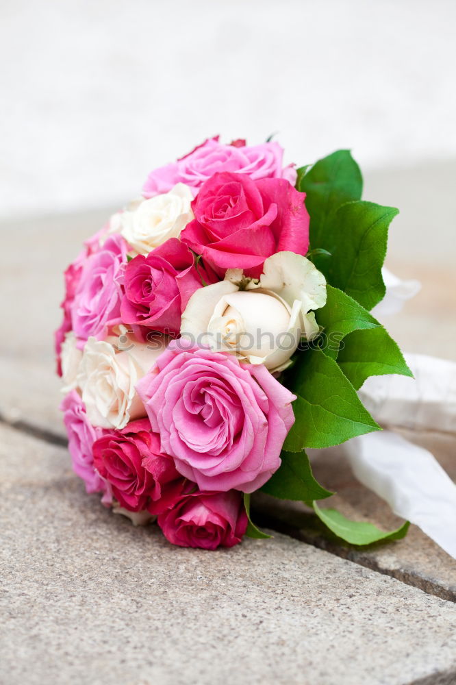 Similar – Image, Stock Photo Flowers and old scissors on wet wooden table