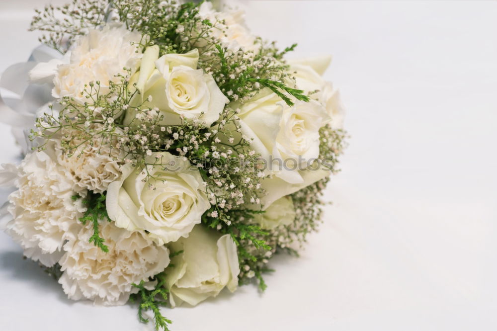 Similar – Image, Stock Photo Bridal bouquet of the bride with flowers roses in white at wedding