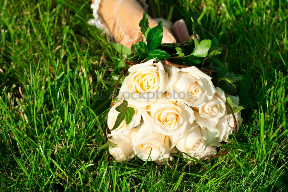 Similar – Image, Stock Photo Girl in rain boots with flowers outdoor