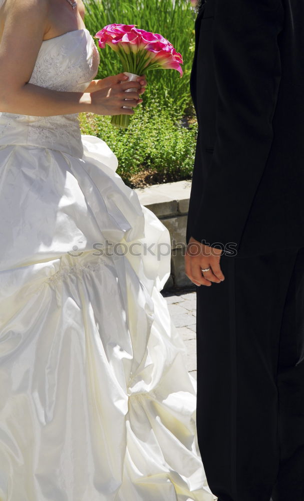 Image, Stock Photo bridal couple Colour photo