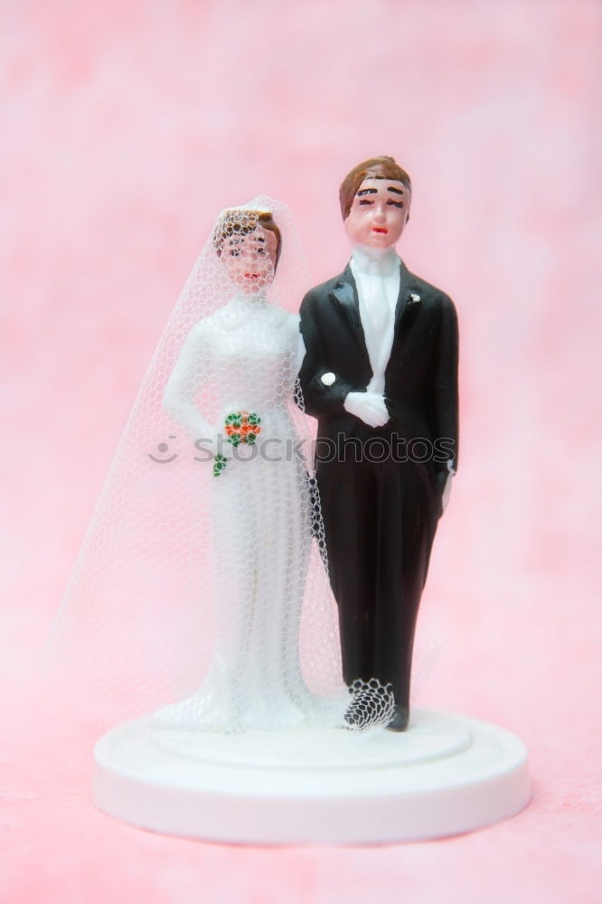 Similar – wedding couple doll Garden