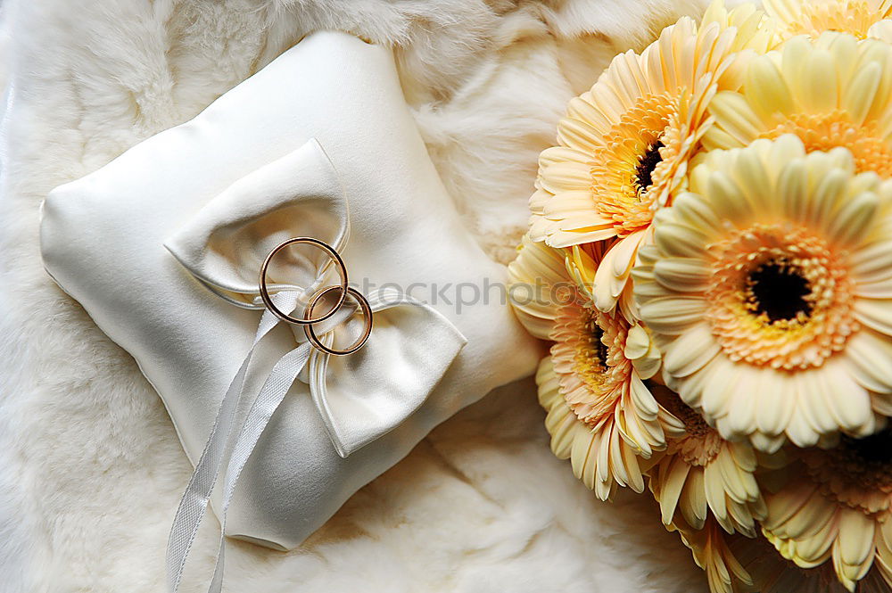 Similar – Image, Stock Photo Christmas napkins decorated