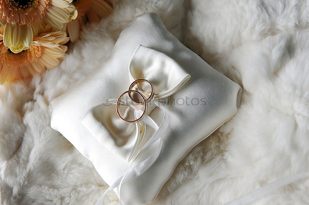 Image, Stock Photo Christmas napkins decorated