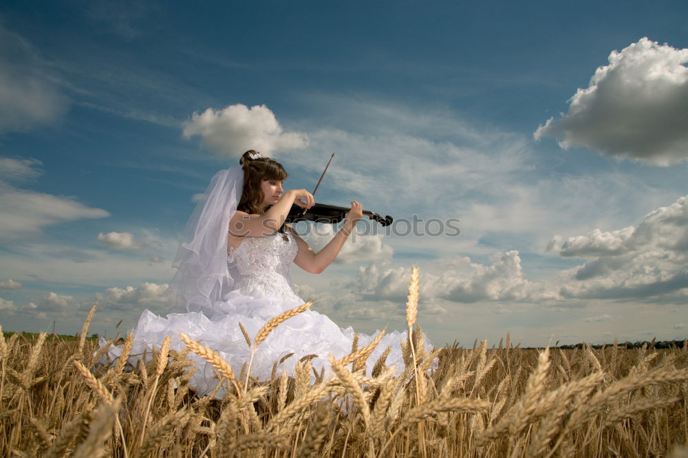 Similar – Image, Stock Photo Man with guitar on field