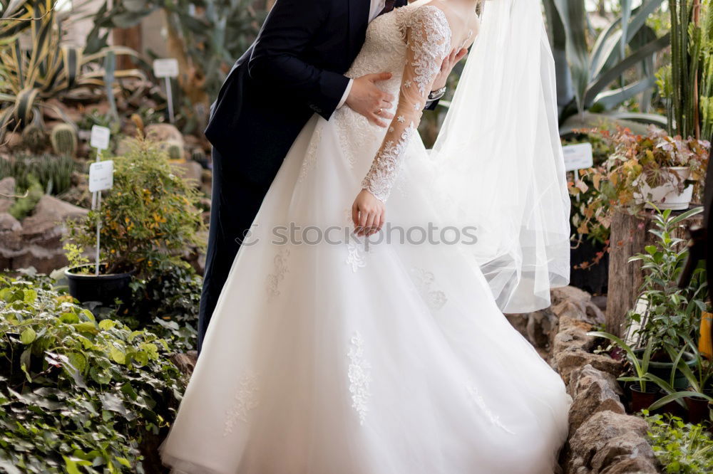 Similar – Image, Stock Photo bridal couple Colour photo