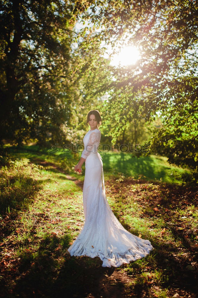 Similar – Young woman on a tree trunk in the forest