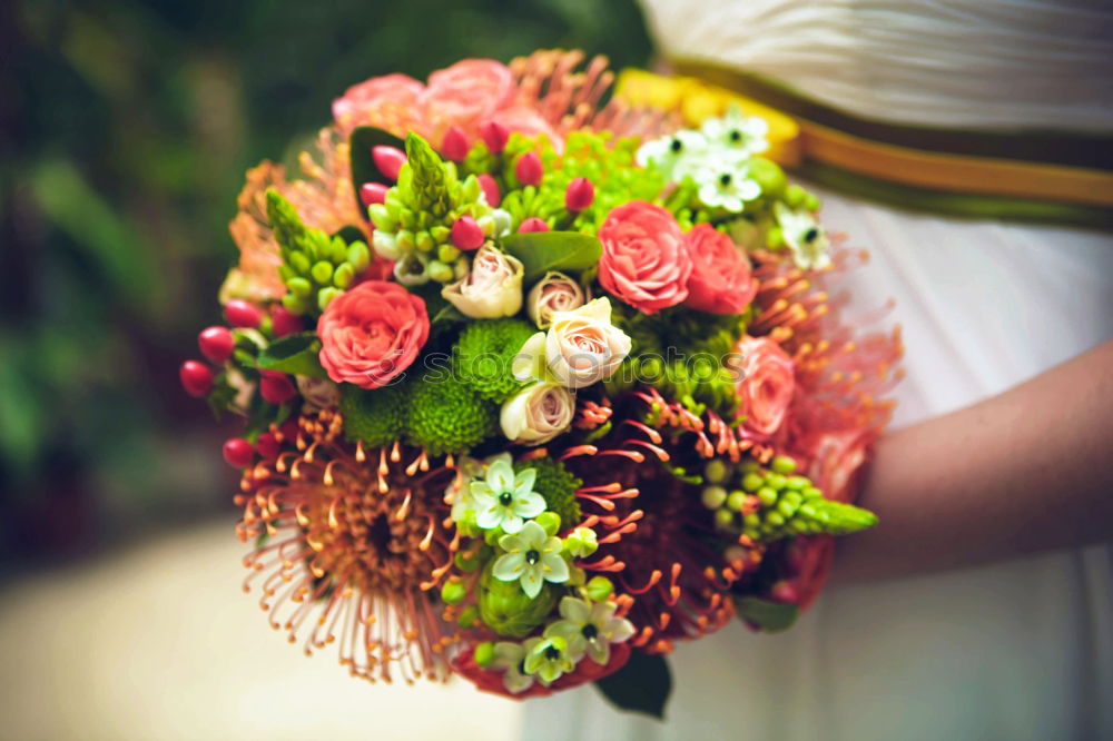 Similar – Young woman holding flowers in hand