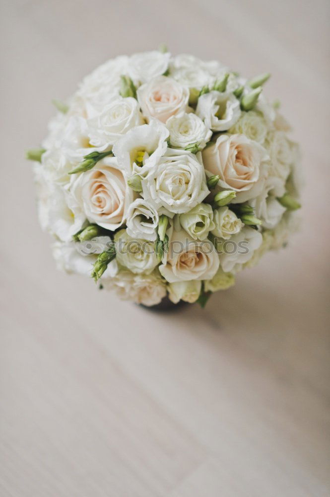 Similar – The bride’s bouquet [1]