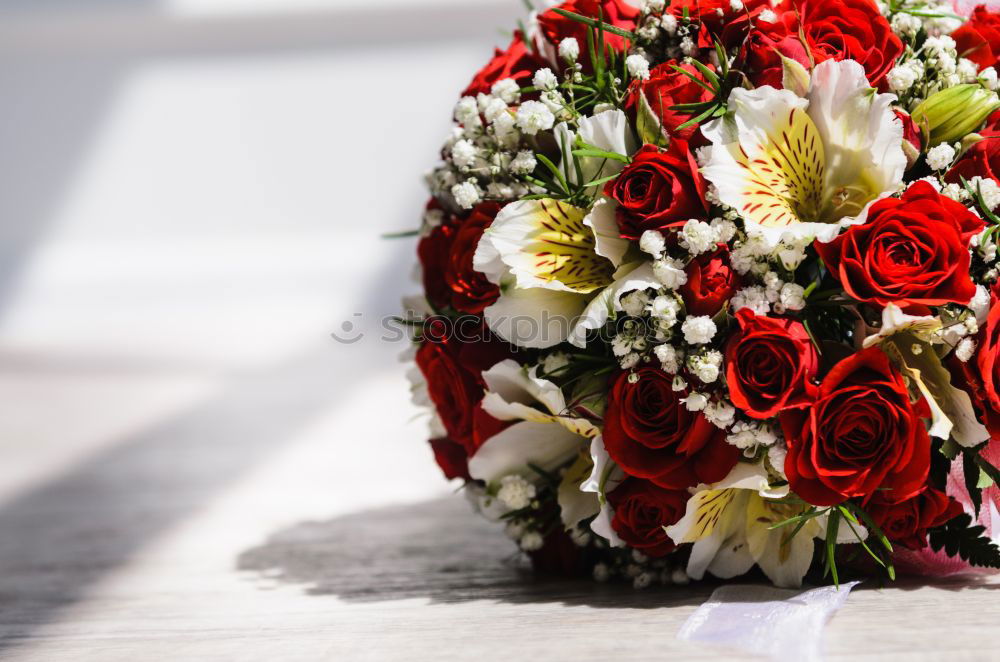 Image, Stock Photo Mourning at the Brandenburg Gate