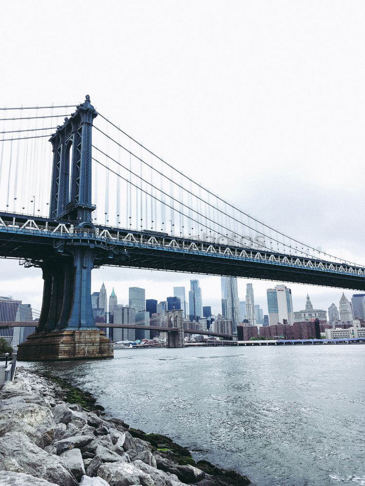 Similar – Image, Stock Photo bridging day New York City