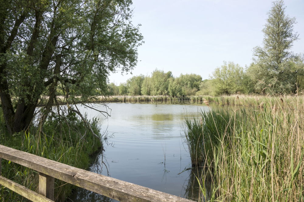 Similar – Footbridge at the lake #2