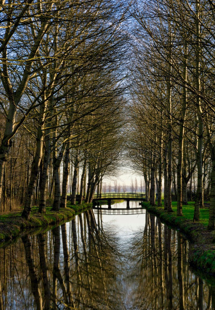 Canal du Midi Nature