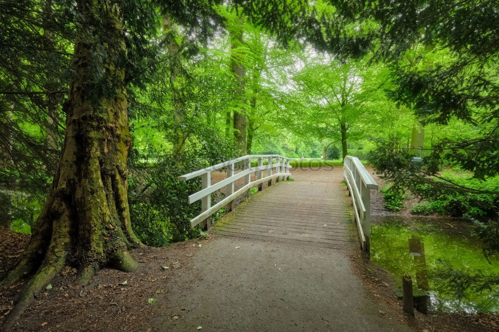 Similar – stone bridge Bridge