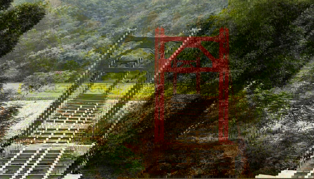 Similar – Image, Stock Photo bridge Construction Steel