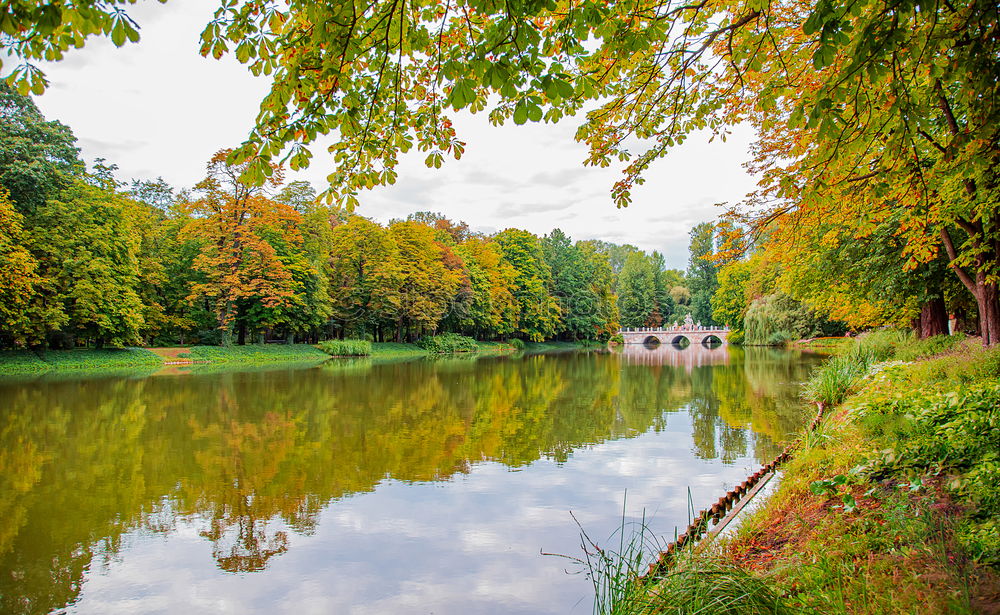 Similar – Foto Bild Bank am See unter Baum im Herbst