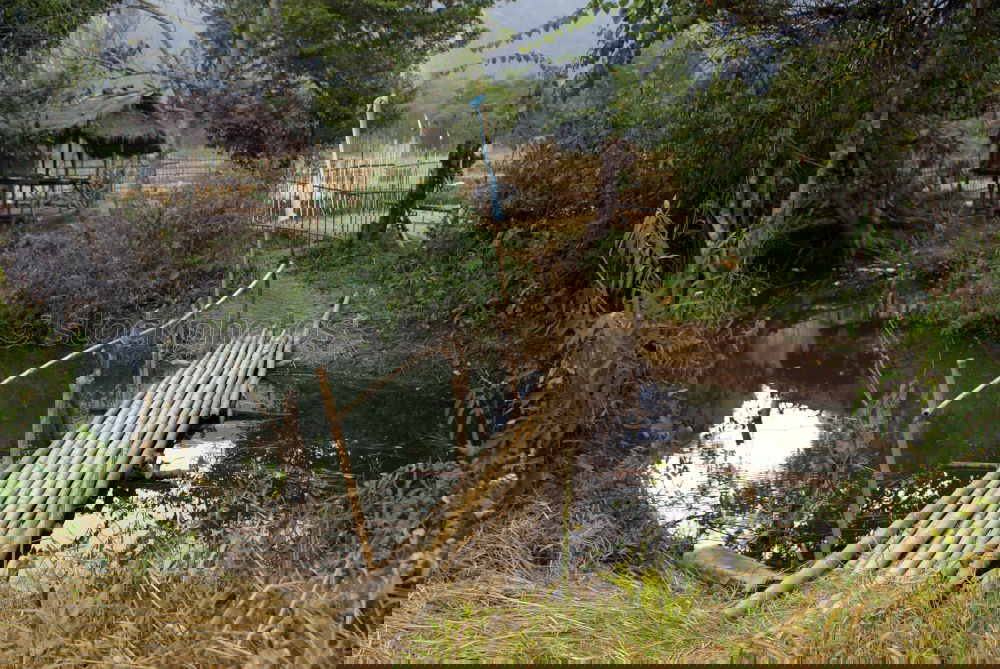 Similar – Foto Bild Schneekatastrophe im Bay. Wald