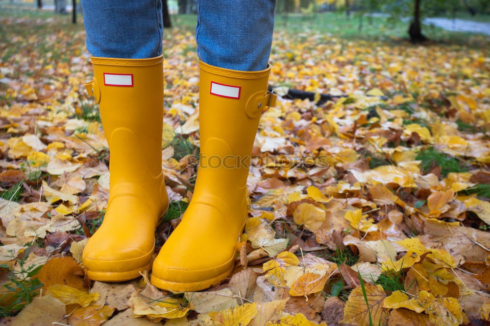 Similar – Image, Stock Photo yellow foliage Footwear