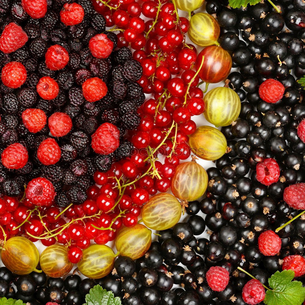 Similar – wild berries Food Fruit