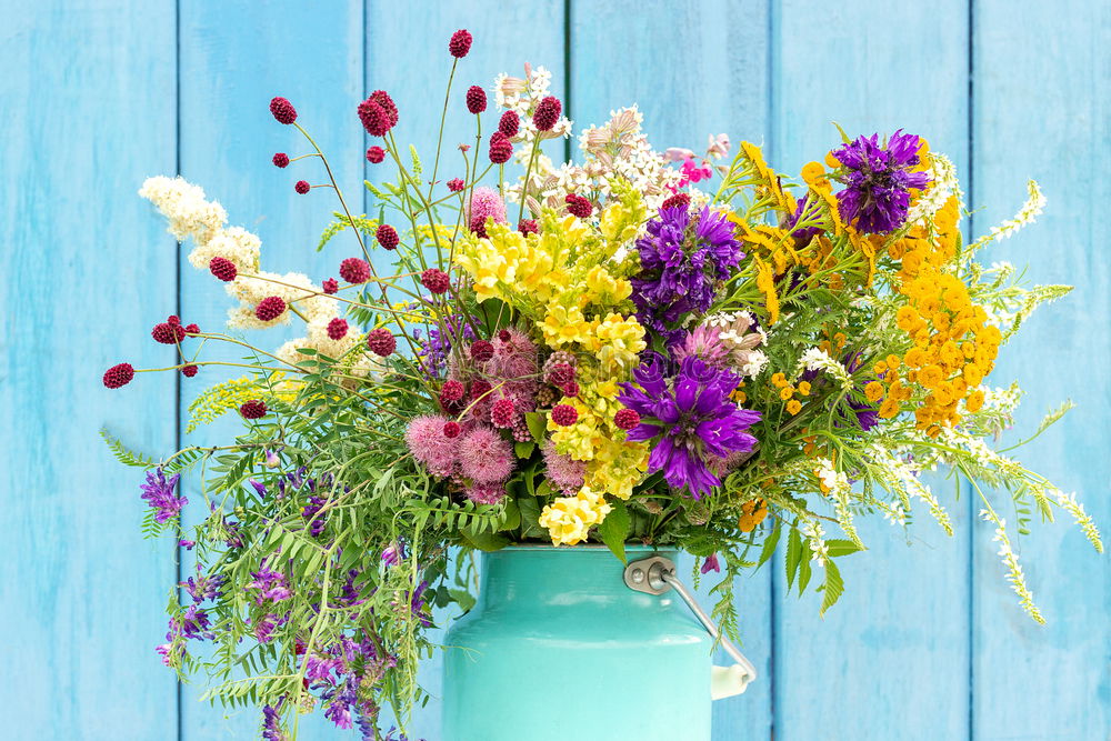 Similar – Image, Stock Photo various meadow flowers in glass vases
