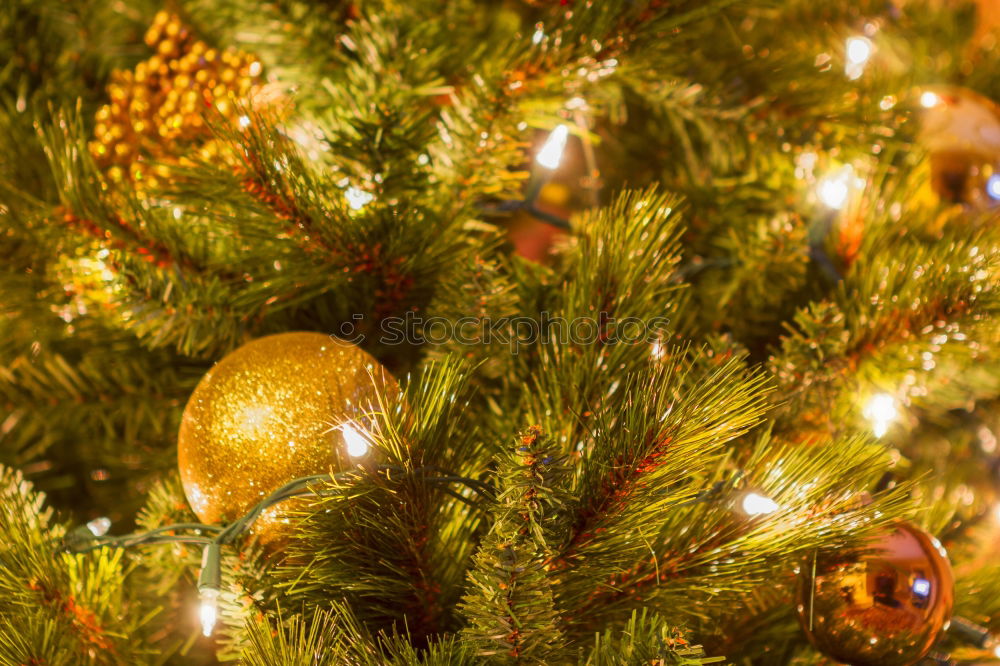 Similar – Ein Tannenbaum geschmückt mit roten Kugeln