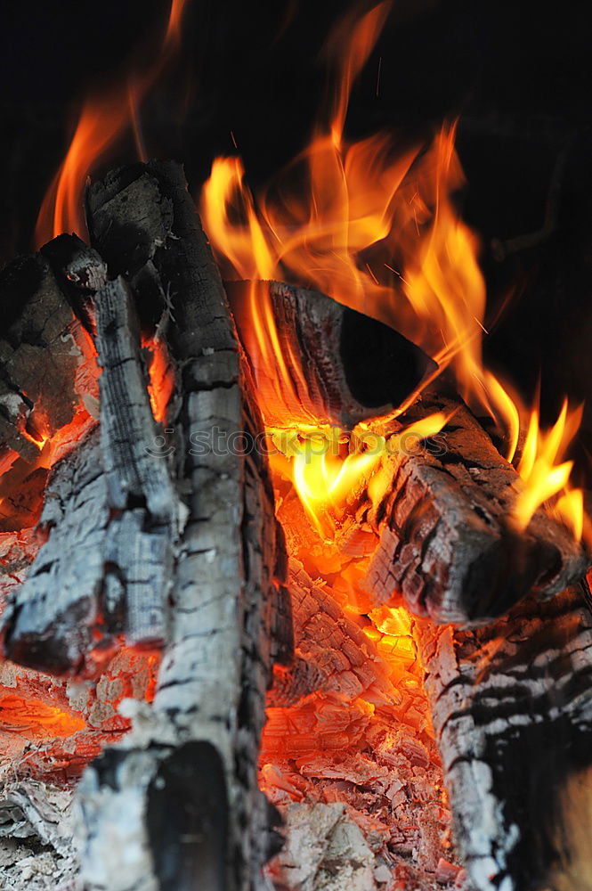 Similar – Image, Stock Photo Closeup of the wood burns on fire