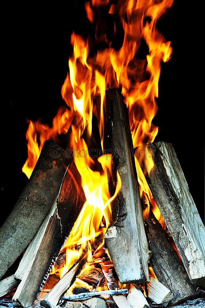 Similar – fiery Wood Blaze Flame