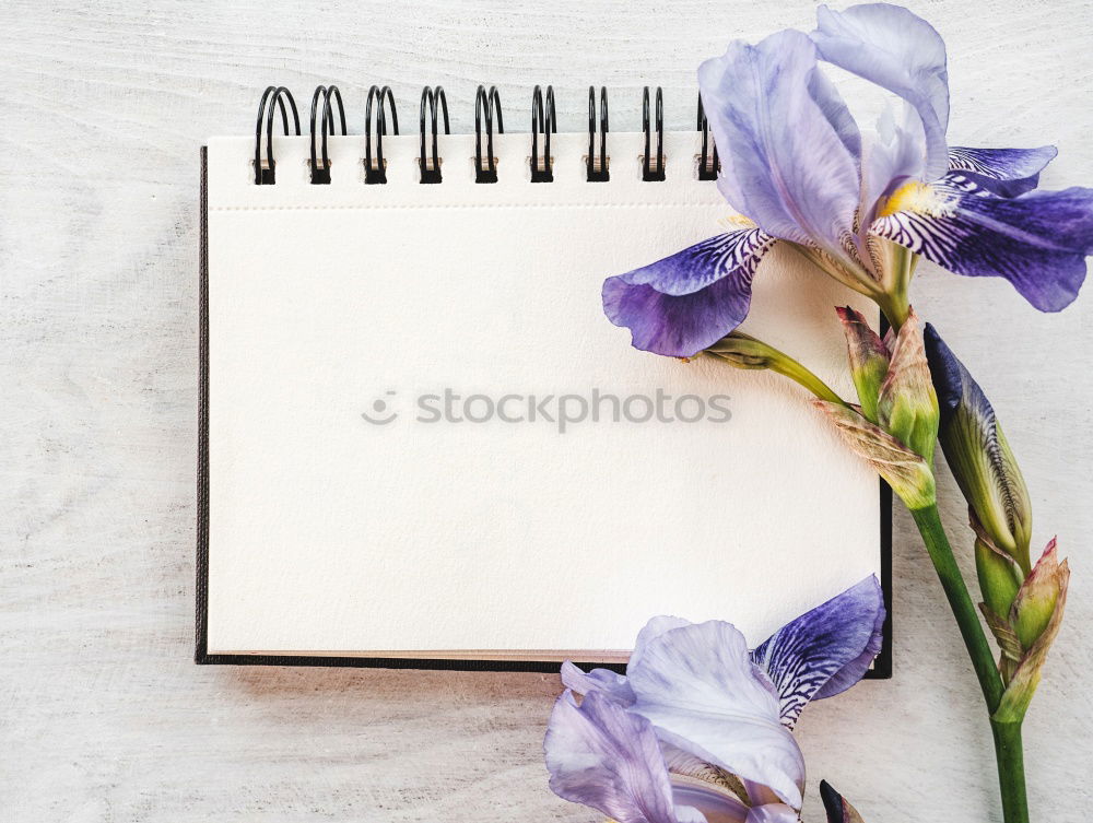 Similar – Image, Stock Photo Notebook with clean white sheets