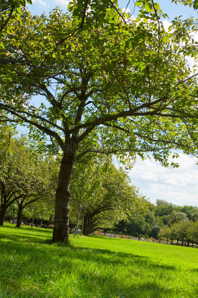 Similar – Foto Bild parking lane @ Hyde Park