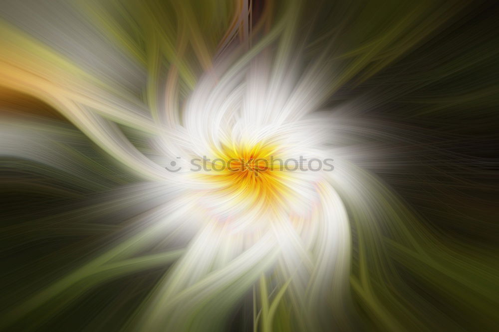 Image, Stock Photo bud case Flower Blossom