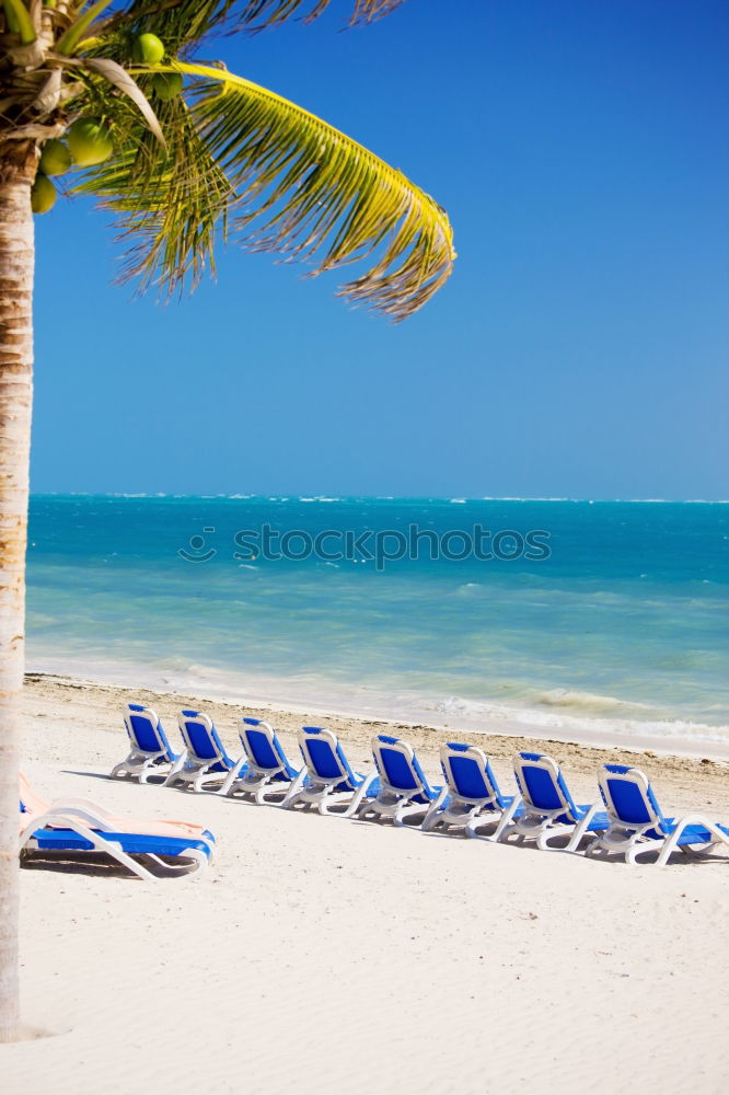 Similar – Image, Stock Photo DreamBeach Sunshade Beige