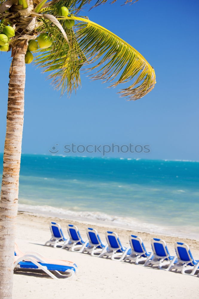 Image, Stock Photo DreamBeach Sunshade Beige