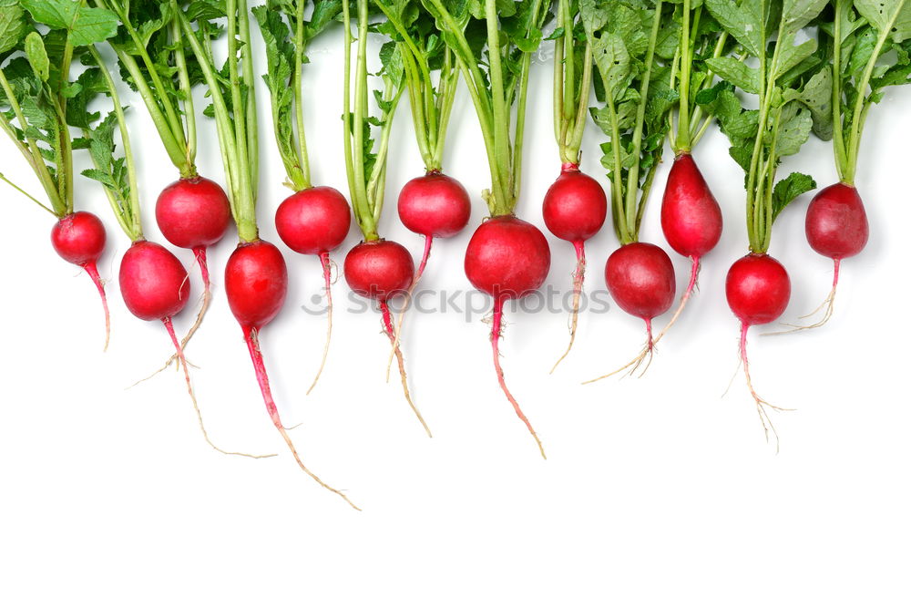 Image, Stock Photo radish Vegetable