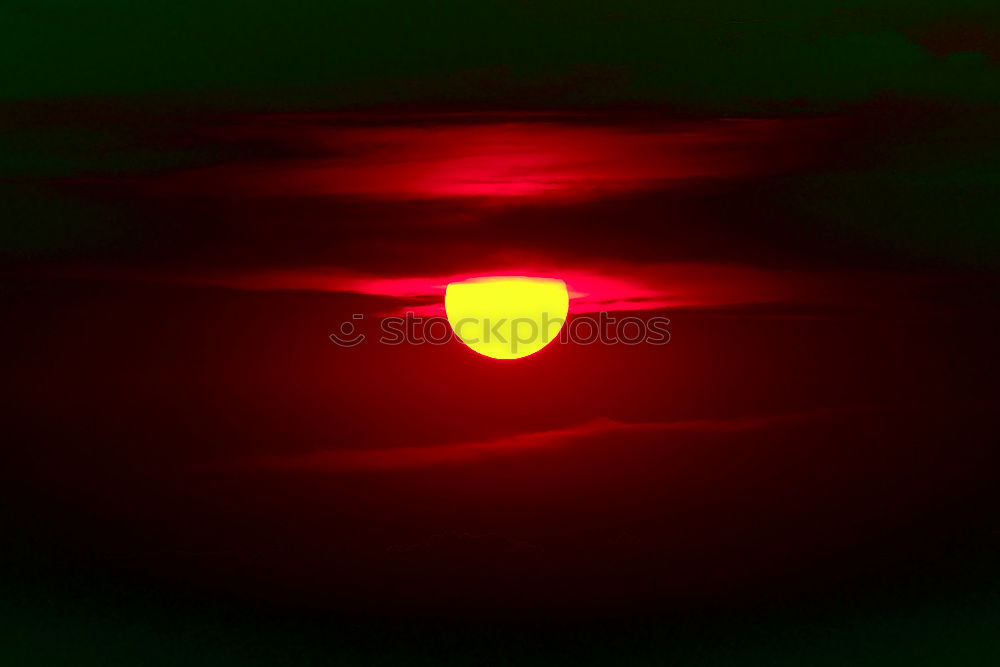 Similar – Foto Bild Igel Lampe Licht Glühbirne