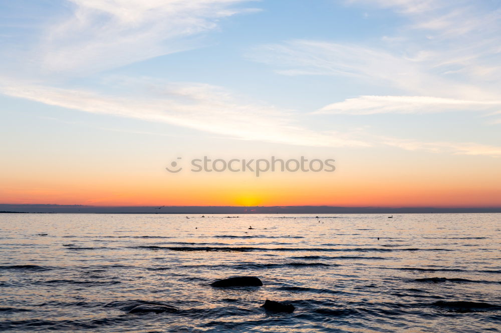 Similar – Image, Stock Photo Man looks into the sunset at the sea