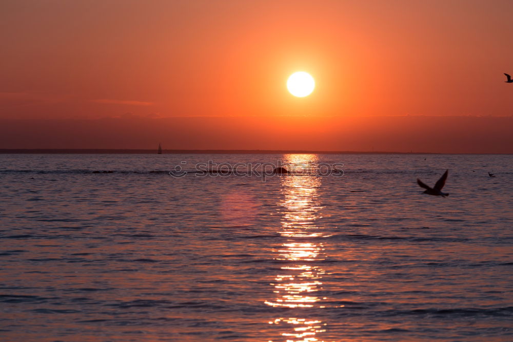 Similar – A bath in the sunset