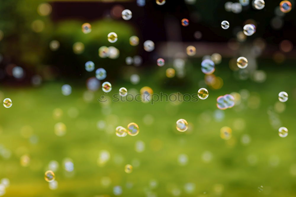 Similar – Image, Stock Photo Flying around Air Garden