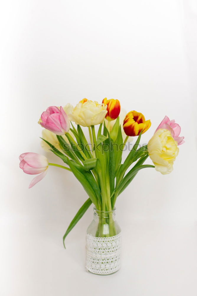 Similar – Image, Stock Photo Good morning spring !