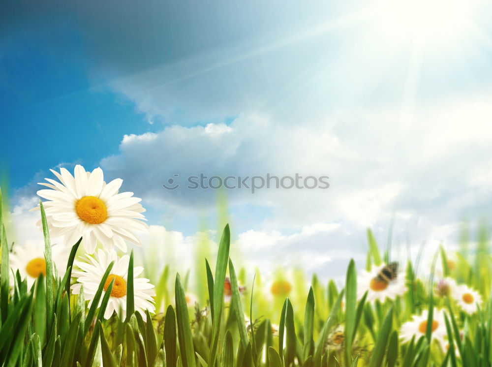 Similar – Image, Stock Photo Solar Energy Part 3