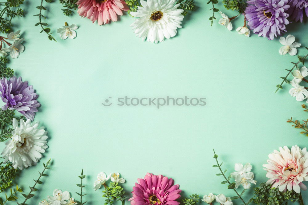 Similar – Beautiful flowers on turquoise background .