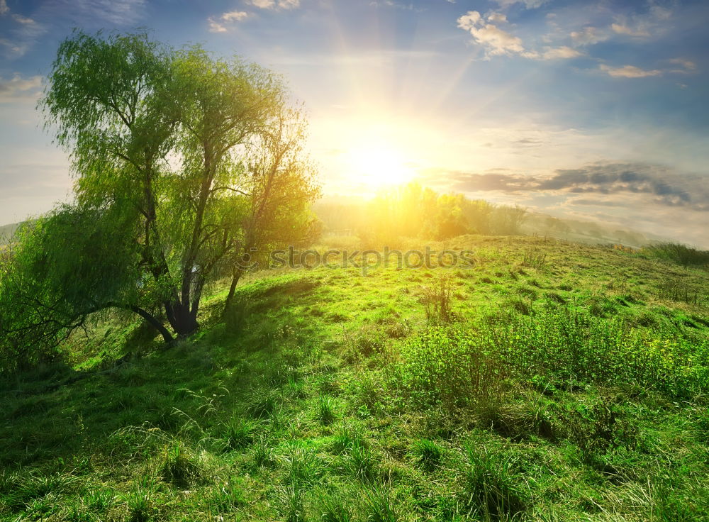 Similar – Spring sunrise in the hills of Podolia